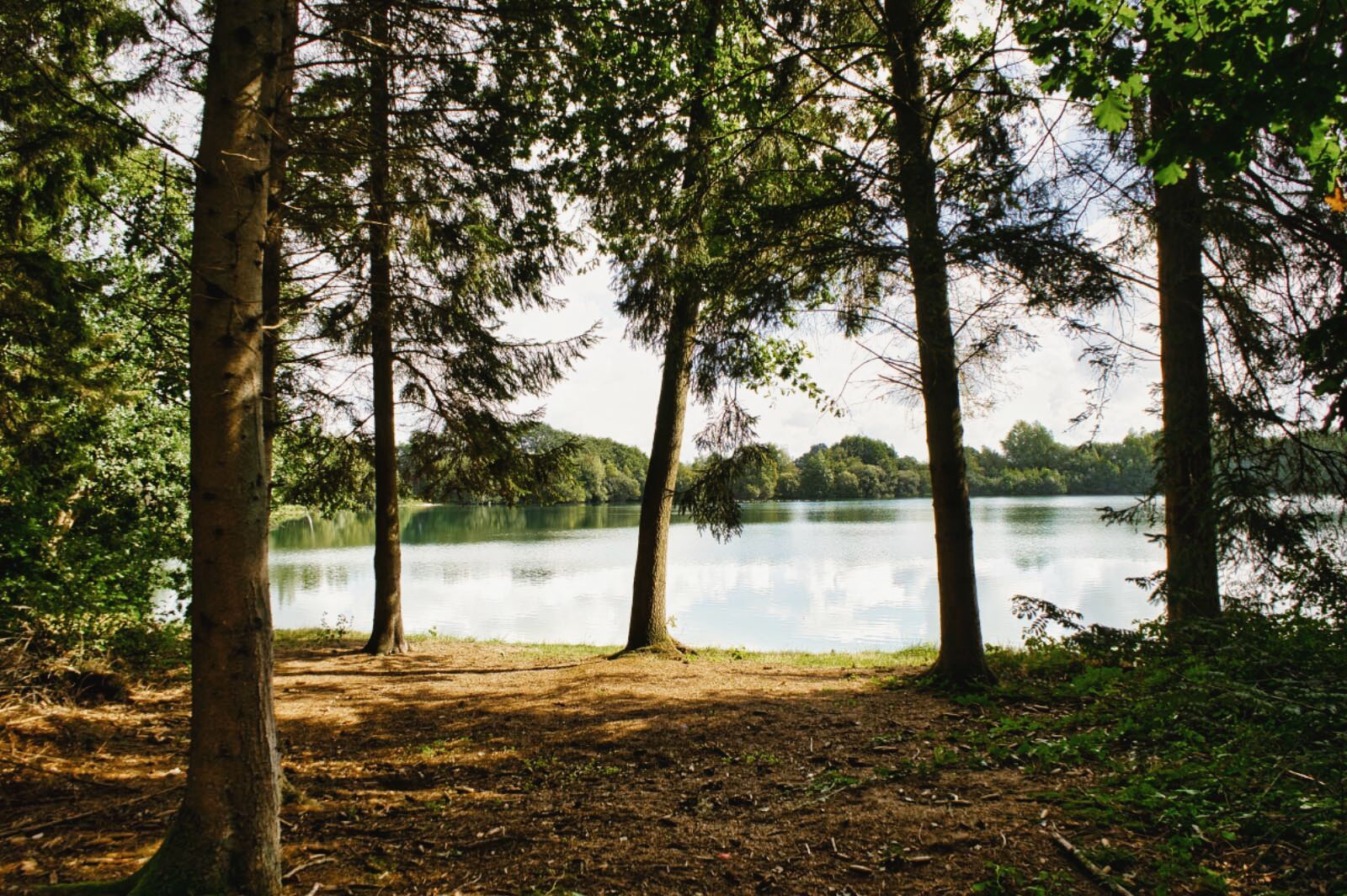 Stellplatz an See zwischen bäumen 