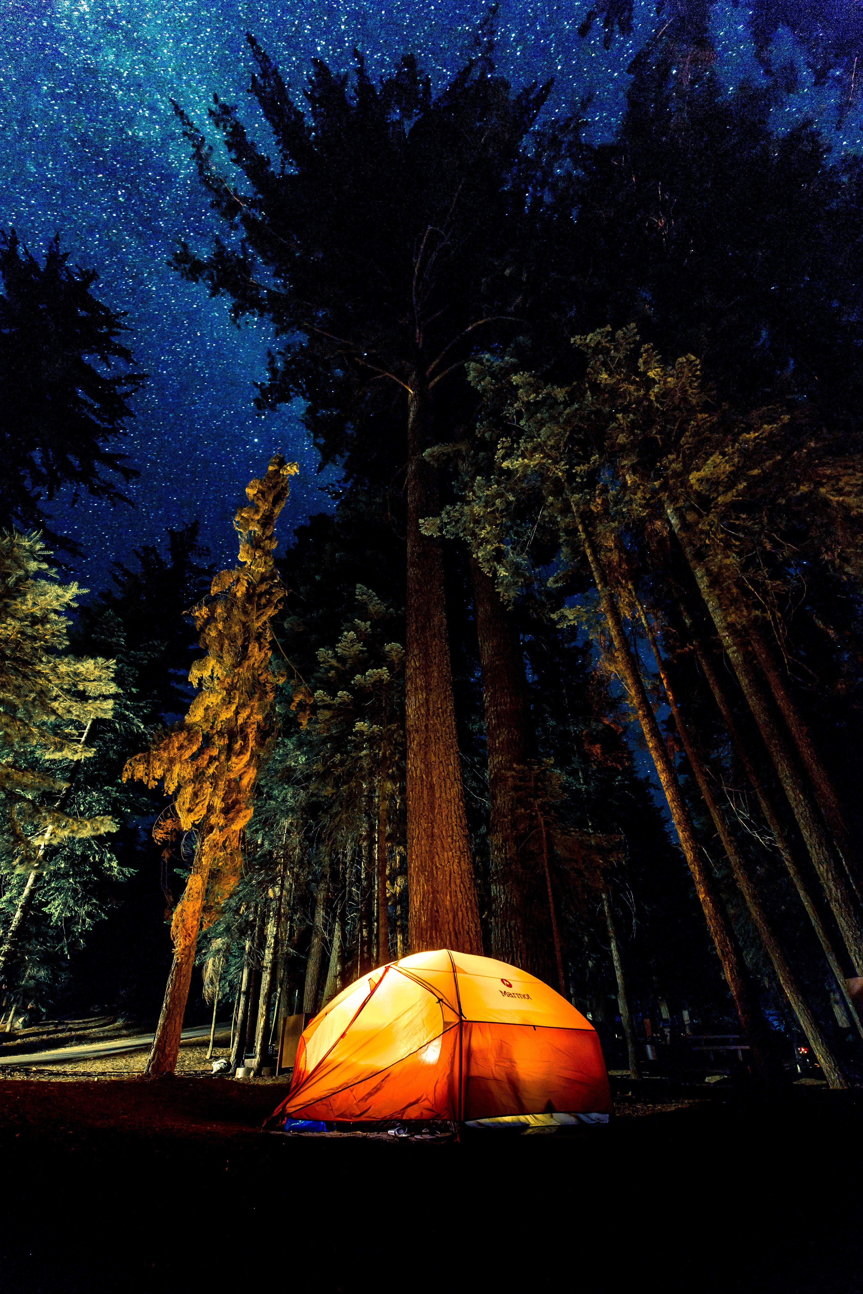 Camping an Weihnachten und Silvester: Die 8 besten Camping Stellplätze